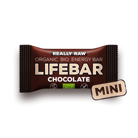 Végami vous propose : Lifebar chocolat 25g