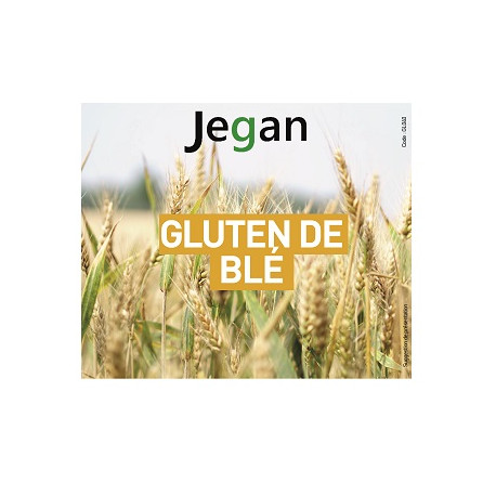 Végami vous propose : Gluten de blé 1kg